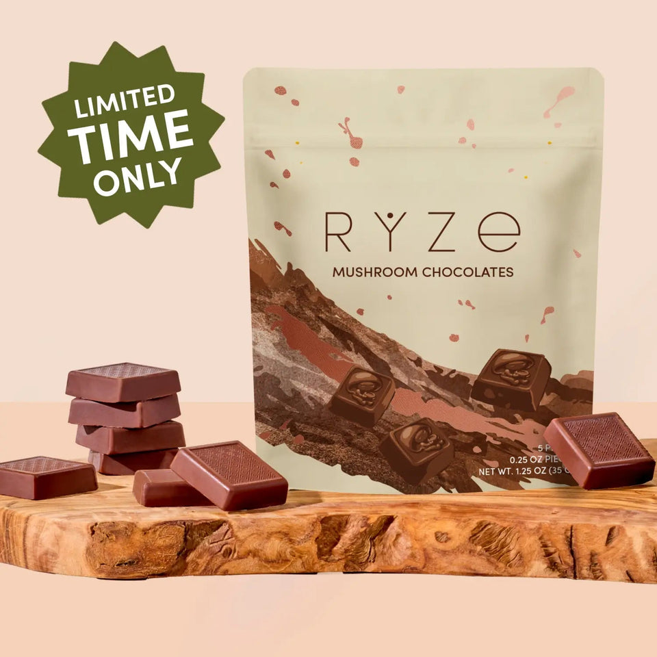Mushroom Chocolates Rye (15 pieces) - Active Sip Choice