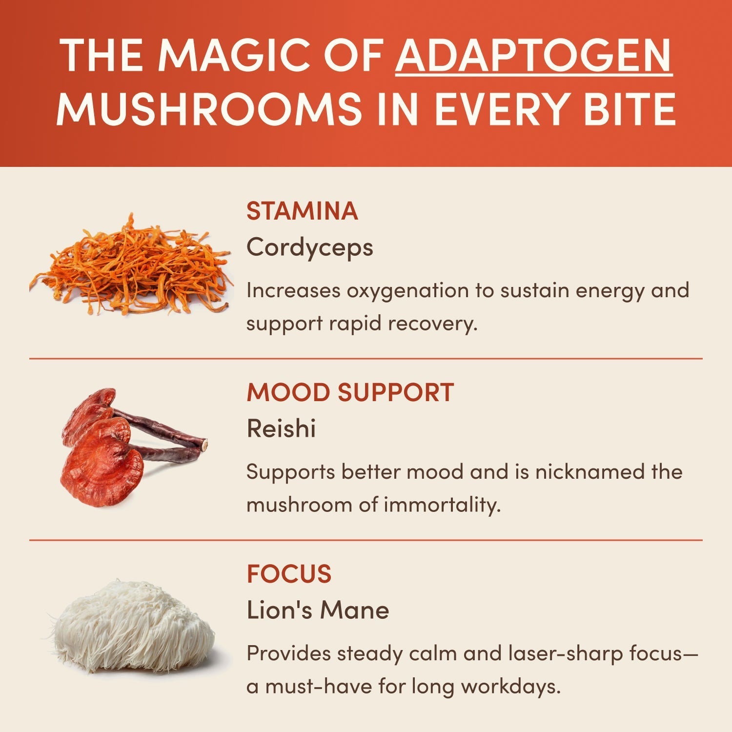 The Magic of Adaptogen Mushrooms in Every Bite �?Cordyceps/Stamina, Reishi/Mood Support, Lion's Mane/Focus with mushroom...