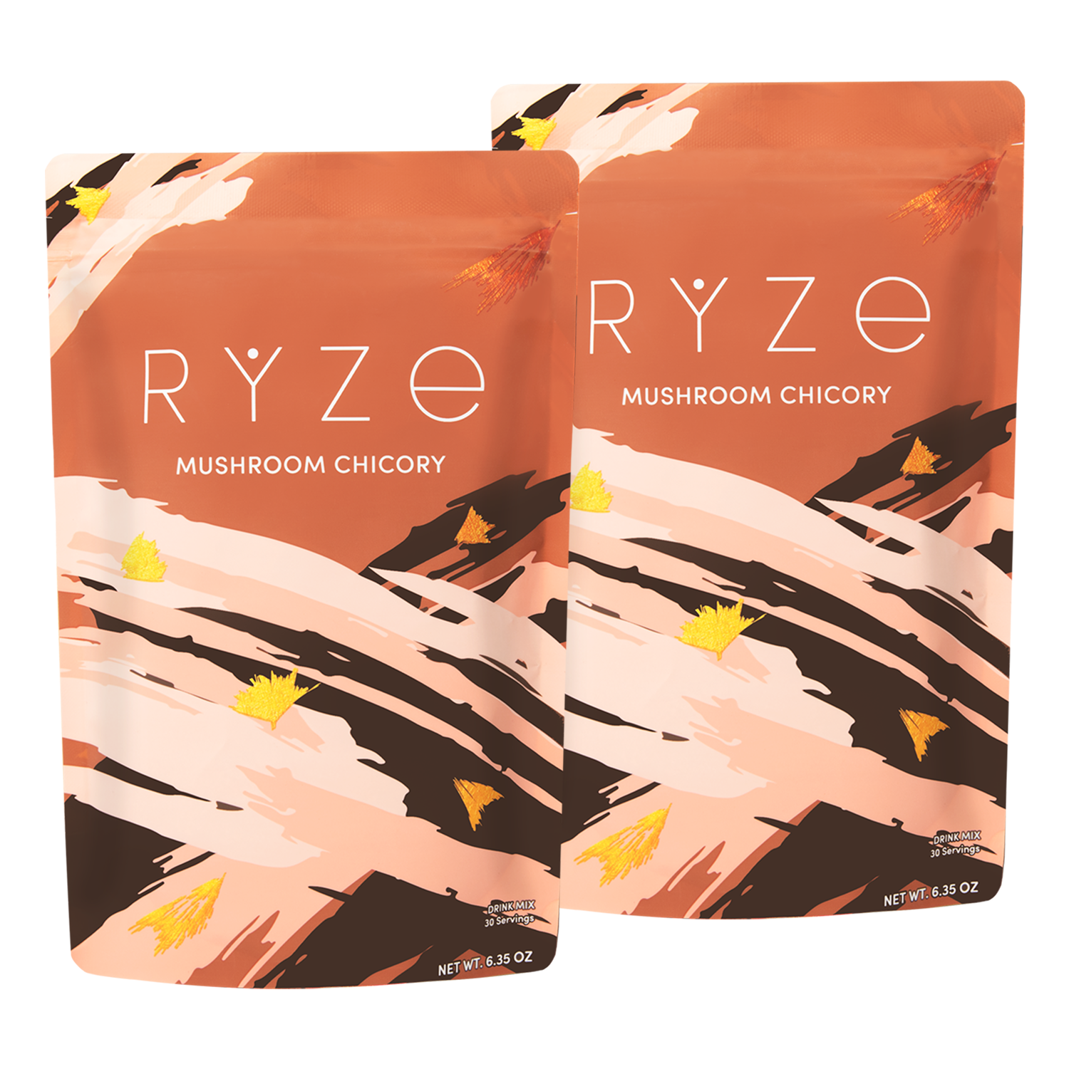 Two RYZE Mushroom Chicory terracotta bags with brushstroke design side by side on a white background
